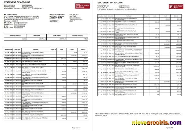 India IDFC First bank statement, 2 pages